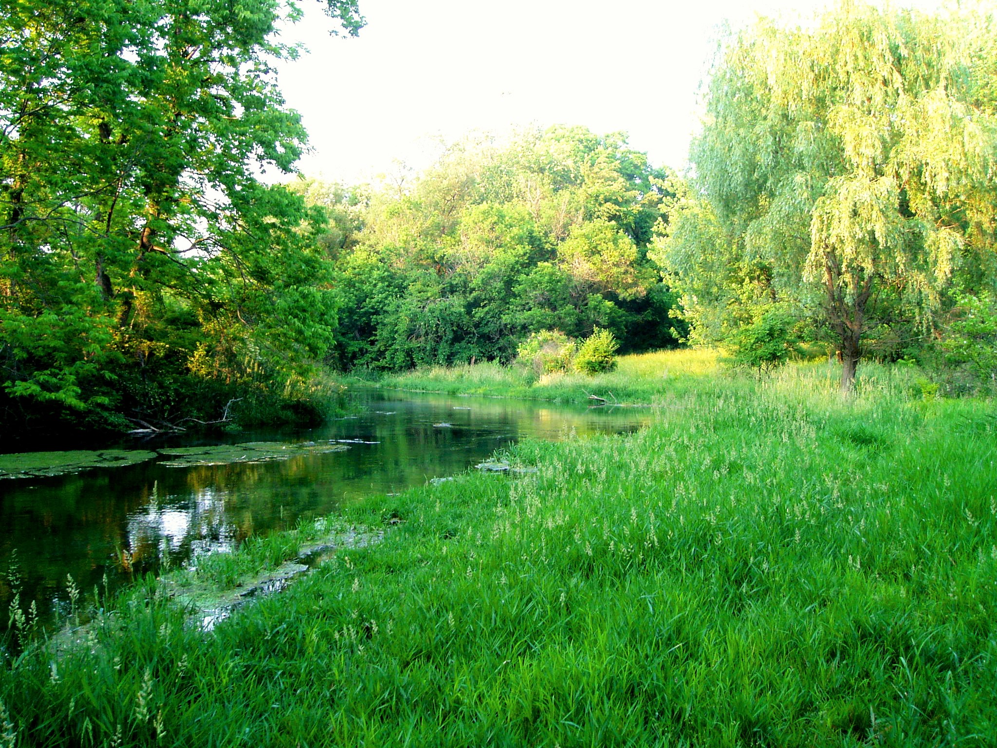 The Source – Bright Waters Catskill